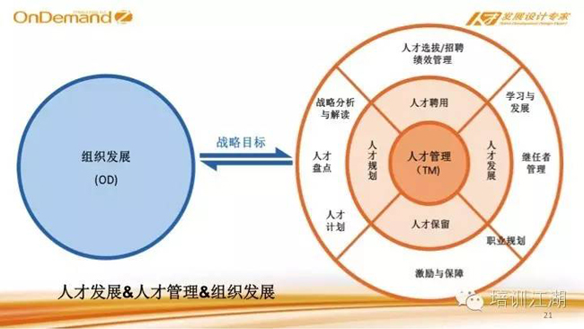 人才发展