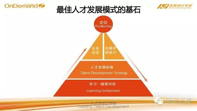 人才发展模式