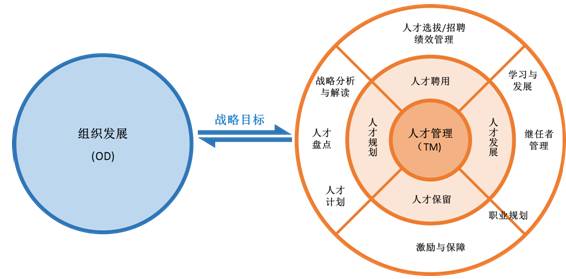 人才发展与组织发展对接