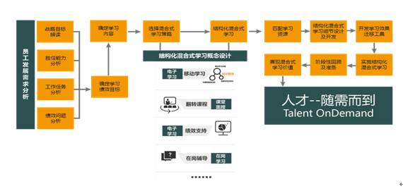 关键人才培养项目设计模型